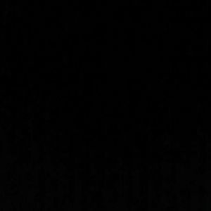 Meet your Posher, Dustin